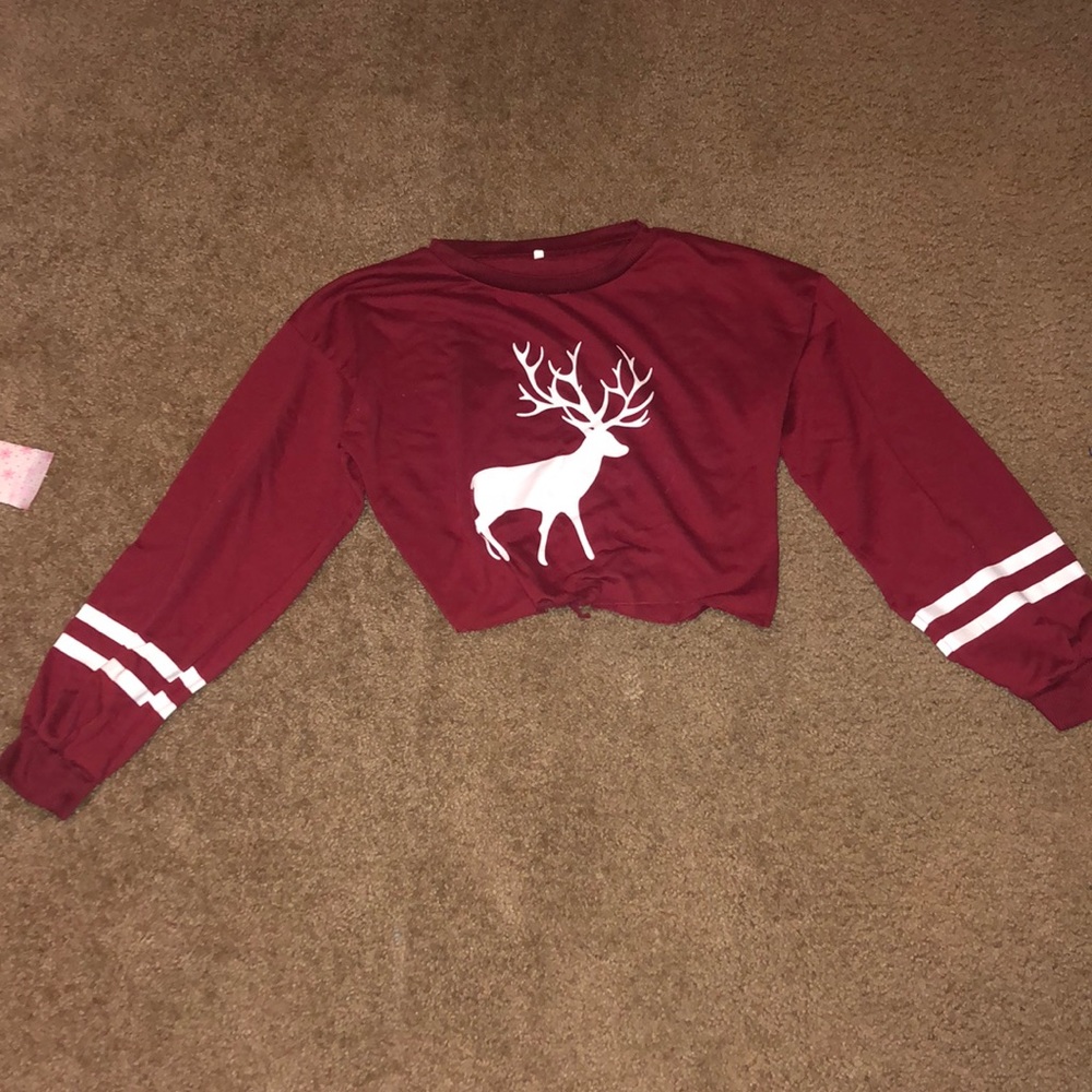 A long sleeve crop top